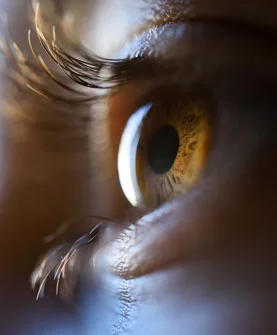 Cils Cils